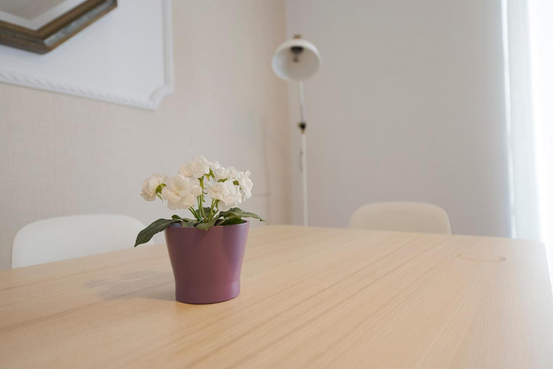 Apartamento Victoria En El Centro De סן סבסטיאן מראה חיצוני תמונה
